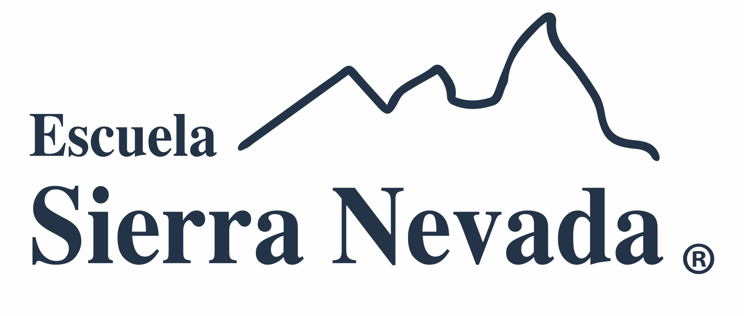 Logo Item
